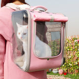 Pet Backpack