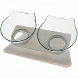 Non-Slip Double Pet Bowl