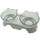 Non-Slip Double Pet Bowl