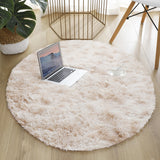 Round Thick Carpet for Living Room