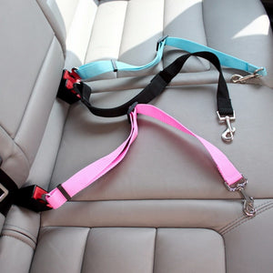 Dog Cat Cat Seat Belt